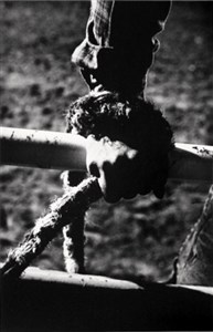 Image description is not available for 2010.077